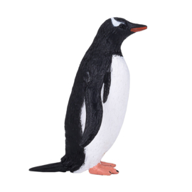 Gentoo penguin   Mojo 387184