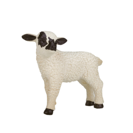 Zwartkop schaap lam  Mojo 387059