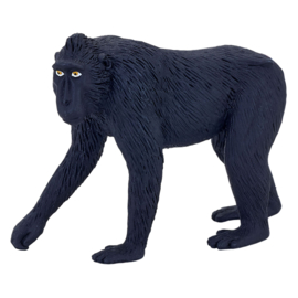 Macaque   Mojo 387182