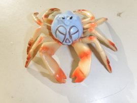 Blue tropical crab