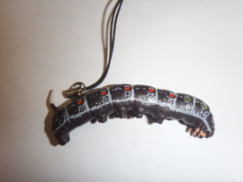 Theratra oldenlandiae  Pijlstaart