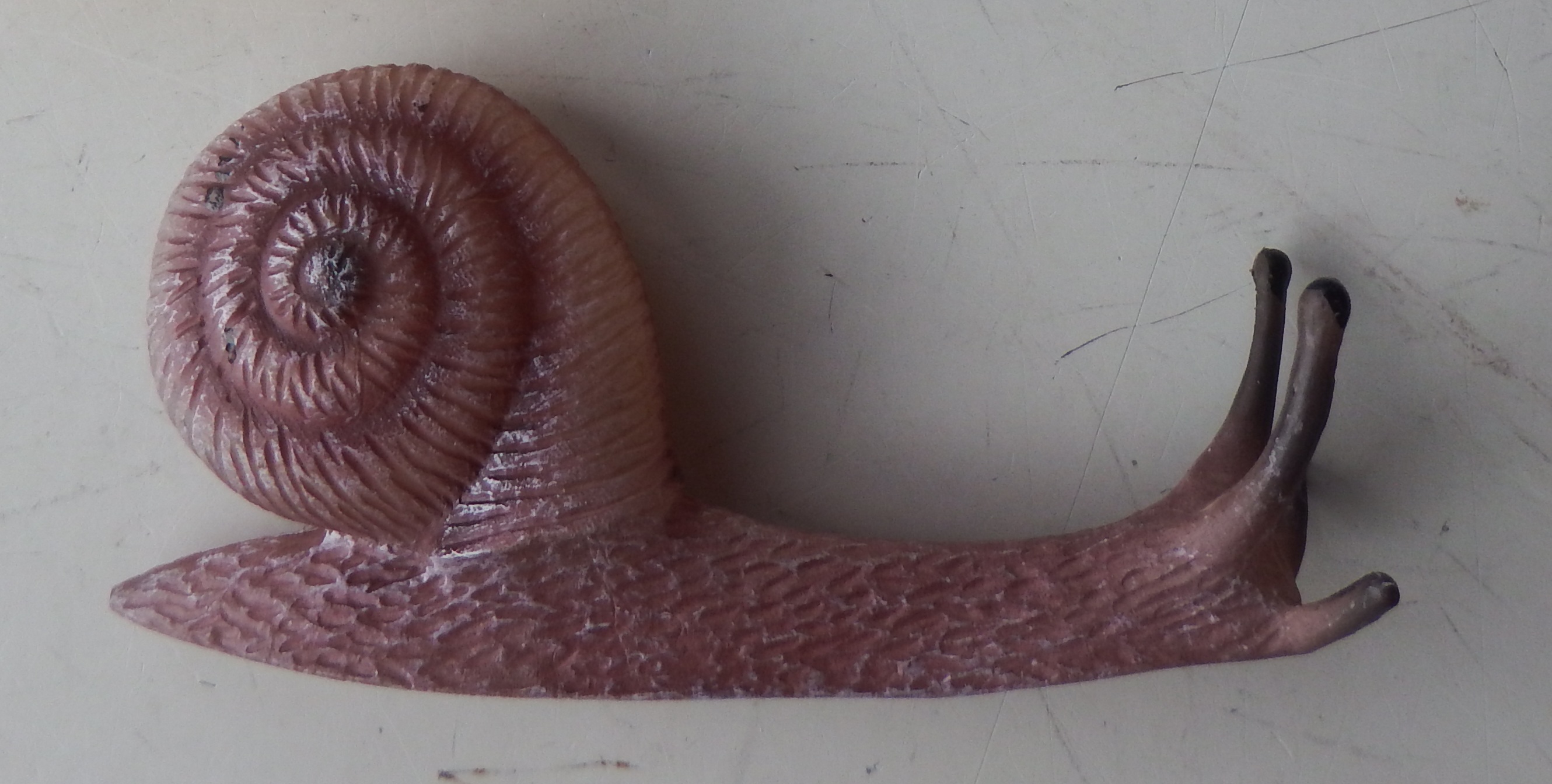 Snail   long