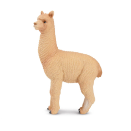 Male Alpaca Toymany