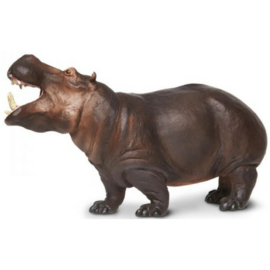 Hippopotamus     XXL  S111889