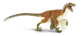 Velicoraptor with feathers S100032