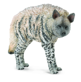 Hyena (gestreepte)     CollectA 88566