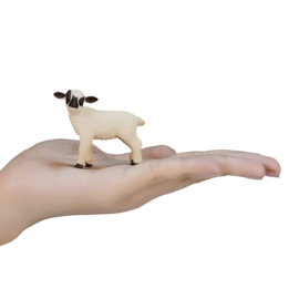 Zwartkop schaap lam  Mojo 387059