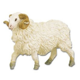 Ram  Safari 232429