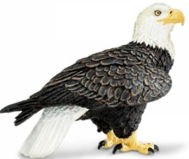 Amercian eagle S291129