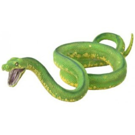 Green Tree Python CollectA 88962