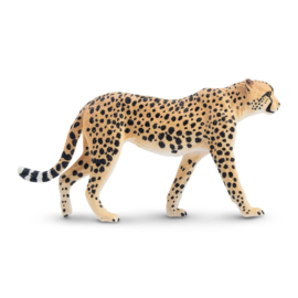 Cheetah female Toymany