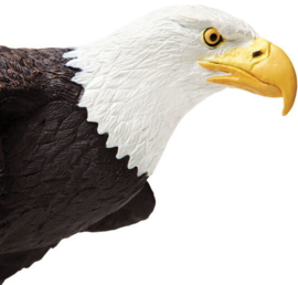 Bald Eagle  SafariLtd  S251029