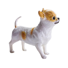 Chihuahua  Recur 16085