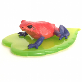 Strawberry frog
