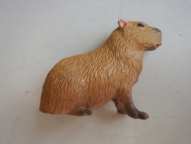 Capibara