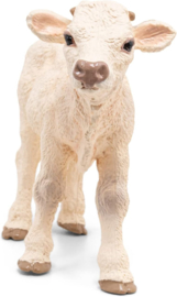 Charolais calf   Papo 51157
