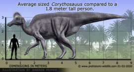 Corythosaurus  Papo 55099 -