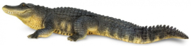 Alligator XXL S113389