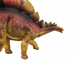 Stegosaurus Safari 284429