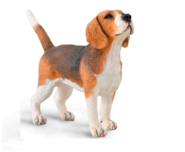 Beagle   CollectA 88935