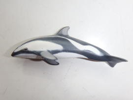 Pacific white sided dolphin Colorata 2e hands