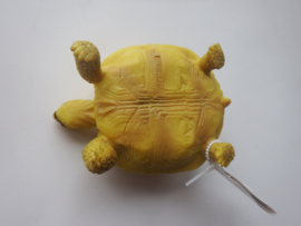 Landschildpad XL