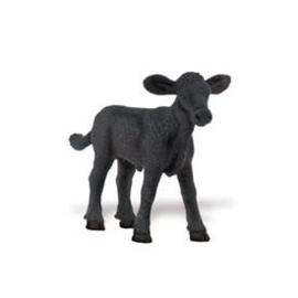 Angus calf S236429