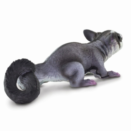 Sugar Glider   S100074