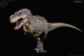 Tyrannosaurus rex "KISS" Island   pre-order  (expect  july 2025)