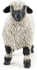 Blacknose sheep Valais   Papo 51194