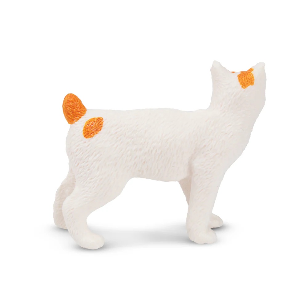 Japanese Bobtail Cat  Toymany