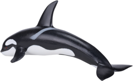 Orca   XL  Mojo 387276