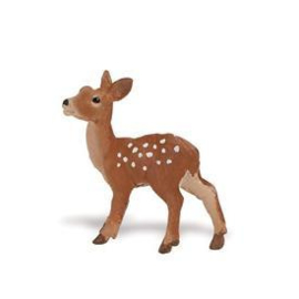Fawn  S291429