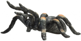 Rode Tarantula  Mojo 387213