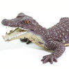 Kaaiman Krokodil Safari Ltd S100238