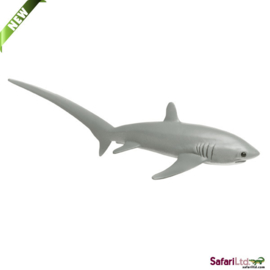Thresher Shark   S200229
