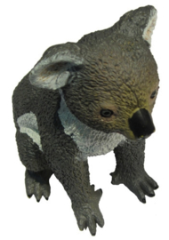 Koala 75481  klein