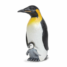 Emperor Penguin with Baby  S267129