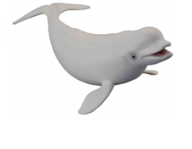 Beluga  CollectA 88568