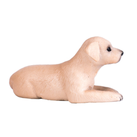 Labrador Puppy - Mojo 387272
