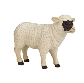 Blackface sheep ewe   Mojo 387058