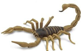 Scorpion    Safari Ltd S100260   large