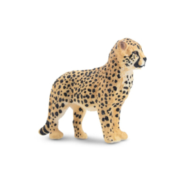 Cheetah cub Toymany