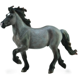 Icelandic Stallion  XL  1:20  CollectA 88826