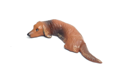 P13 Dachshund  Teckel Takshond