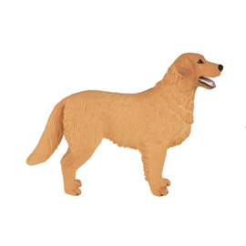 Golden Retriever - Mojo 387198