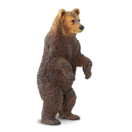 Grizzly bearSafari 181729
