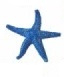 Starfish  blauw mini  Safari