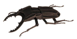 Stag beetle 3D paper model