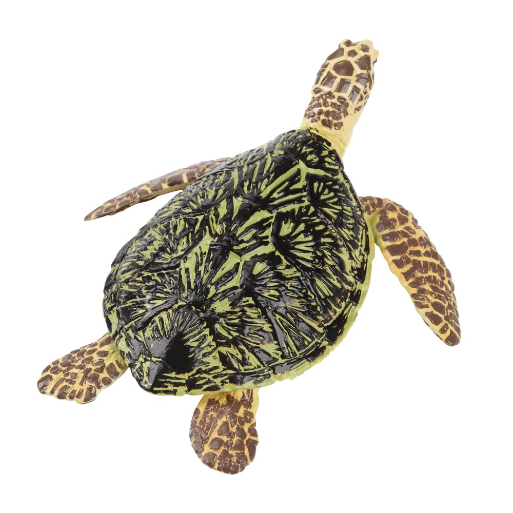 Green Sea Turtle Toymany